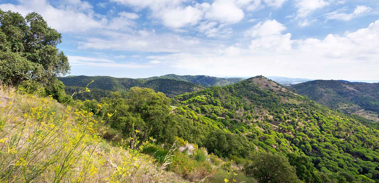 El parque del Montnegre